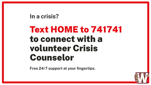 crisis text